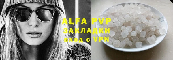 сатива Вяземский