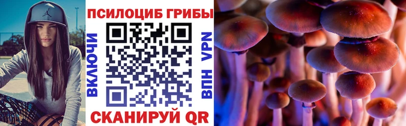 Галлюциногенные грибы мицелий Купить закладки Тейково
